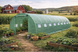 Садовая пленка для теплицы 36м2 3x12x2m зеленая с двумя входами   FT-3X12X2-Z армированная 140 г/м&sup2; с UV-фильтром FT-3X12X2-Z фото 2