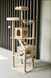 Когтеточка-комплекс для кота (Cat Tree) с полочками и домиком, устойчивая конструкция Volso Y-2 Y-2 фото 5