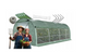Усиленная теплица садовая с москитной сеткой 18м2 6x3x2м Ekspand TFM25-3X6X2-1-Z труба 25мм,армированная зеленая TFM25-3X6X2-1-Z фото 2