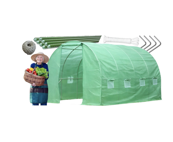 Садовая теплица,парник 10м2 2,5x4x2м Ekspand TFO19-2,5X4X2-2-Z с двумя входами, труба 19мм аромированная пленка,зеленая TFO19-2,5X4X2-2-Z фото