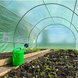 Садова теплиця,парник 18м2 6*3*2м Ekspand TFO19-3X6X2-2-Z  з двома входами, труба 19мм аромована плівка,зелена TFO19-3X6X2-2-Z фото 7